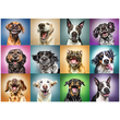 Vicces kutya portrék 1000 db-os Puzzle – Trefl