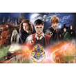 Wizarding World: Titokzatos Harry Potter puzzle 300 db-os – Trefl
