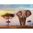 Afrikai napnyugta HQC puzzle 500 db-os – Clementoni Afrikai napnyugta HQC puzzle 500 db-os – Clementoni