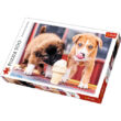 Fagyizó kutyakölykök 500 db-os prémium puzzle – Trefl