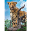 Vad leopárd 500 db-os puzzle – Trefl