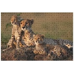 Kép 2/2 - Animal Planet: Gepárd család 1000 db-os puzzle