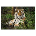 Kép 2/2 - Animal Planet: Tigris 1000 db-os puzzle