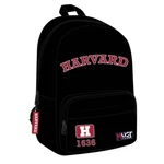Kép 1/2 - Luna: Must Team Harvard lekerekített hátizsák 29×17×41 cm