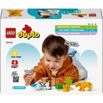 Kép 2/5 - LEGO® DUPLO®: Állatcsaládok a vadvilágban: Pingvinek és oroszlánok (10442)