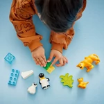 Kép 3/5 - LEGO® DUPLO®: Állatcsaládok a vadvilágban: Pingvinek és oroszlánok (10442)
