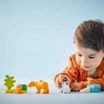 Kép 4/5 - LEGO® DUPLO®: Állatcsaládok a vadvilágban: Pingvinek és oroszlánok (10442)