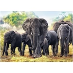 Kép 2/2 - Afrikai elefántok 1000 db-os prémium puzzle – Trefl