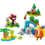 Kép 5/5 - LEGO® DUPLO®: 3 az 1-ben állatcsaládok a vadvilágban (10446)