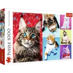 Kép 1/2 - Boldog cicák 1000 db-os puzzle – Trefl