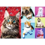 Kép 2/2 - Boldog cicák 1000 db-os puzzle – Trefl