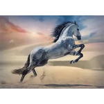 Kép 2/2 - Fenséges paripa 1000 db-os HQ puzzle kirakó – Trefl
