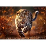 Kép 2/2 - Leopárd prémium plusz 1000 db-os puzzle – Trefl