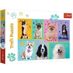 Kép 1/2 - Kutyák 100 db-os puzzle – Trefl