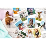 Kép 2/2 - Holiday Pictures puzzle 300 db-os – Trefl
