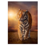 Kép 2/2 - Clementoni: Tigris 1500 db-os puzzle – High Quality Collection