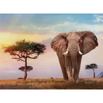 Kép 2/2 - Afrikai napnyugta HQC puzzle 500 db-os – Clementoni