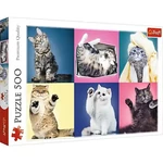 Kép 1/2 - Cicák 500 db-os puzzle – Trefl