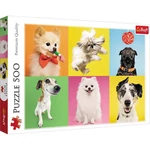 Kép 1/2 - Kutyák 500 db-os puzzle – Trefl
