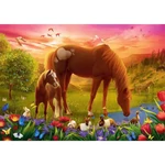 Kép 2/2 - Lovak a réten 500 db-os puzzle – Trefl