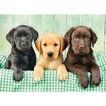 Kép 2/2 - A három labrador HQC 1000 db-os puzzle – Clementoni