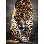 Kép 2/2 - Sétáló jaguár HQC 1000 db-os puzzle – Clementoni