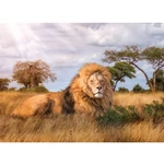 Kép 2/2 - A Király HQC 1000 db-os puzzle – Clementoni