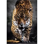 Kép 2/2 - A jaguár sétája HQC 1000 db-os puzzle – Clementoni