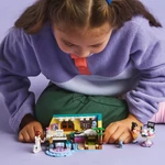 Kép 3/5 - LEGO® Friends: Paisley szobája (42647)