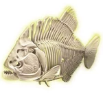 Kép 3/3 - Science & Play: Piranha fluoreszkáló régészeti készlet – Clementoni