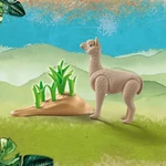 Kép 3/3 - Playmobil: Wiltopia – Alpaka (71062)