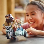 Kép 4/5 - LEGO® Harry Potter: Hagrid™ és Harry motoros kalandjai (76443)
