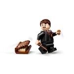 Kép 5/7 - LEGO® Harry Potter: Szörnyek szörnyű könyve (76449)