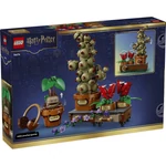 Kép 6/6 - LEGO® Harry Potter™: A Roxfort™-i gyógynövénytanóra növényei (76474)