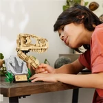 Kép 3/5 - LEGO® Jurassic World™: Dinoszaurusz maradványok: T-Rex koponya (76964)