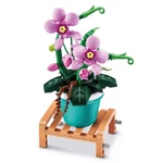 Kép 4/7 - MAX Prémium cserepes növény 1. sorozat több változatban