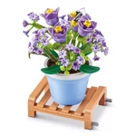 Kép 5/7 - MAX Prémium cserepes növény 1. sorozat több változatban