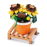 Kép 6/7 - MAX Prémium cserepes növény 1. sorozat több változatban