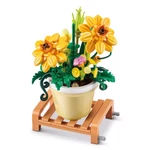 Kép 7/7 - MAX Prémium cserepes növény 1. sorozat több változatban