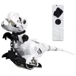 Kép 2/3 - Így neveld a dinód! távirányítós robot dinoszaurusz