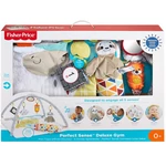 Kép 1/4 - Fisher-Price: Sensimals Játszószőnyeg babatornázóval – Mattel