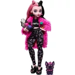 Kép 2/5 - Monster High: Creepover Party Drakulaura baba kiegészítőkkel – Mattel