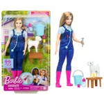 Kép 1/6 - Barbie: 65. évfordulós karrier játékszett – Állatorvos baba kiegészítőkkel – Mattel