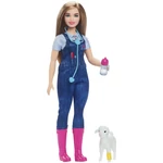 Kép 4/6 - Barbie: 65. évfordulós karrier játékszett – Állatorvos baba kiegészítőkkel – Mattel