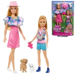Kép 1/4 - Barbie: Stacie to the Rescue – Barbie és Stacie szett kiskutyussal és kiegészítőkkel – Mattel