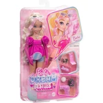Kép 1/3 - Barbie Dream Besties Malibu baba – Mattel