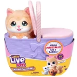 Kép 1/4 - Little Live Pets: Cicus kosárban kicsinyeivel