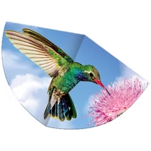 Kolibri sárkányrepülő