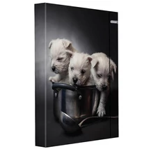 Spirit: Kiskutyusok füzetbox gumipánttal A/4-es méretben