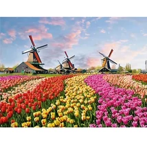 Gyémántszemes kirakó: Holland tulipánmező gyémántfestő szett 30×40 cm
